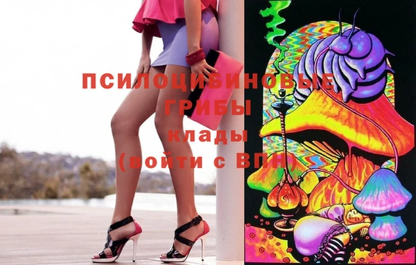 винт Арсеньев