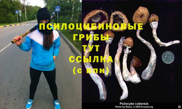 мдпв Армянск