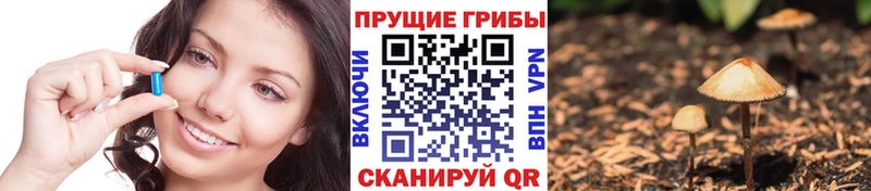 Галлюциногенные грибы Magic Shrooms  дарнет шоп  Бакал 
