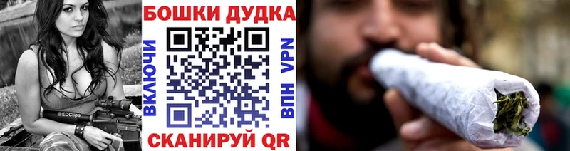 Бошки марихуана сатива Бакал